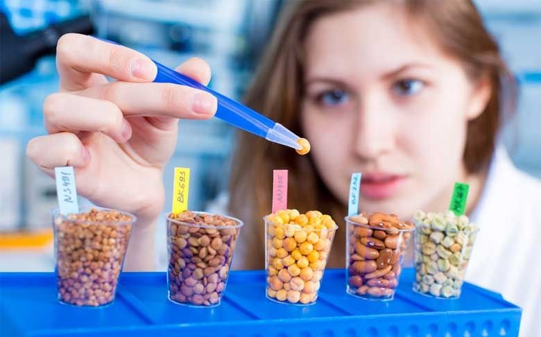 Odoo • Texte et Image