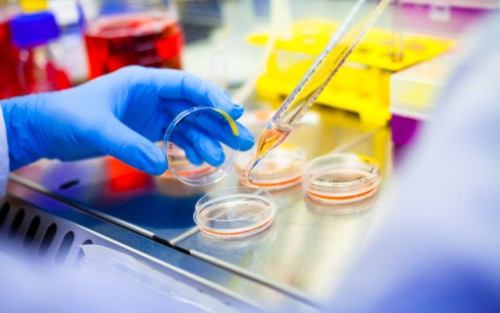 Odoo • Texte et Image